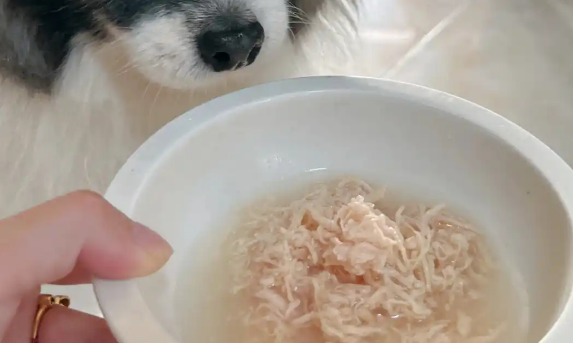 熊熊良铺宠物零食安全吗