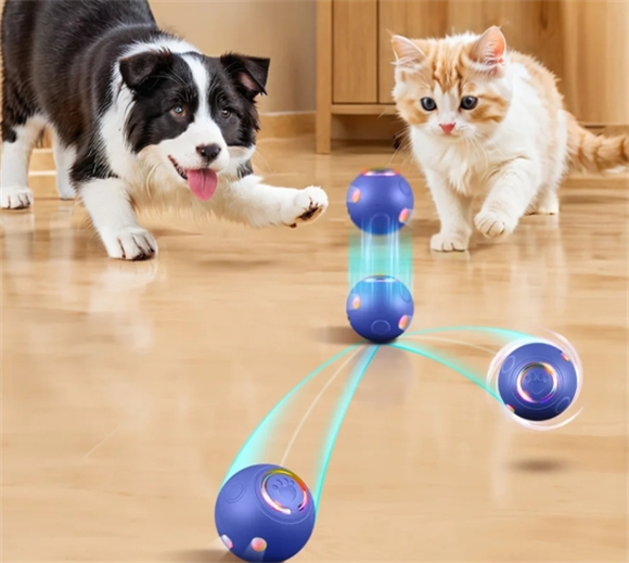SCCKIT逗猫球有用吗