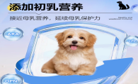 美兰西狗粮排名第几