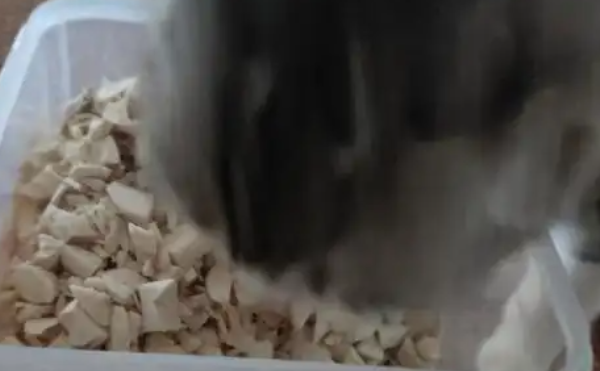 卡夫猫冻干先进锁鲜工艺，锁住营养