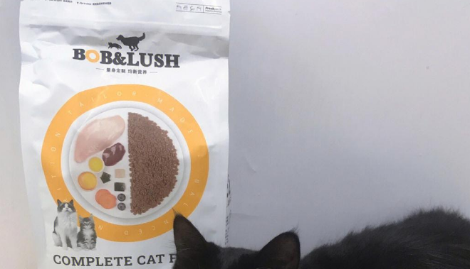 boblush猫粮给幼猫吃好吗