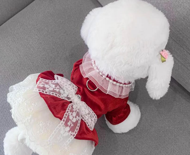 昂夏宠物拜年服怎么样 昂夏宠物拜年服怎么样