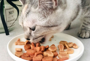 凯麦特宠物零食是不是国产的