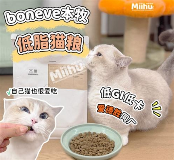 本牧猫粮属于什么档次 本牧猫粮属于什么档次