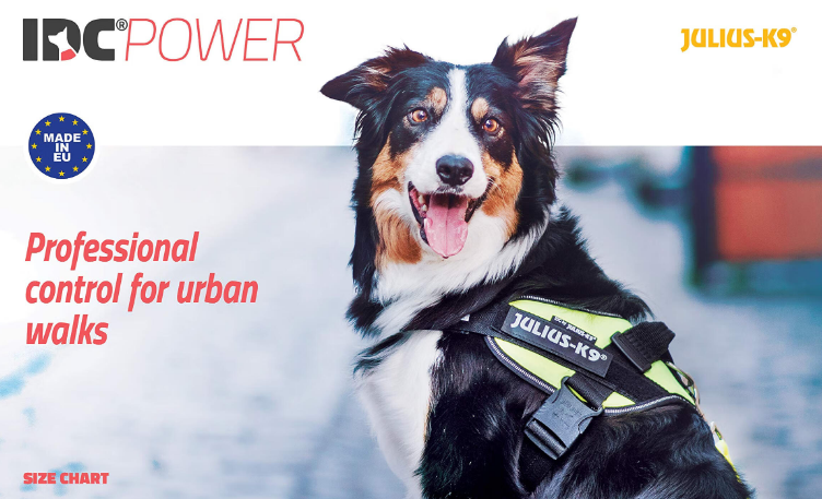 JULIUS K9宠物产品质量与耐用性 JULIUS K9宠物产品质量与耐用性