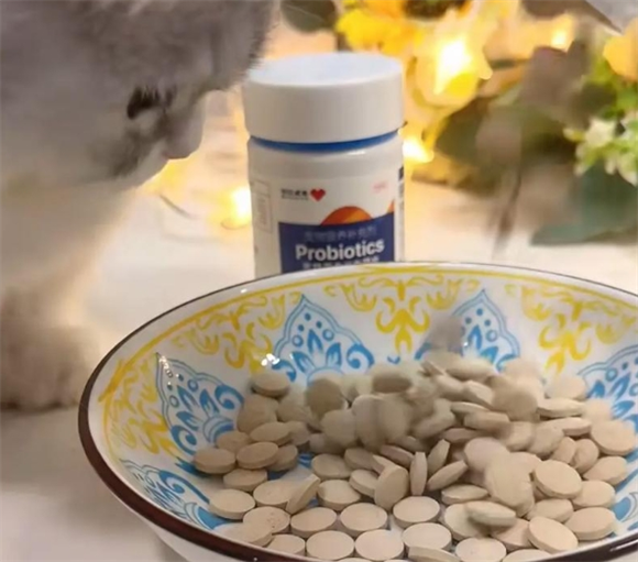 宠物乳铁蛋白最好的三个牌子