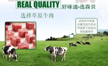 森贝狗粮是品牌吗 森贝狗粮是品牌吗