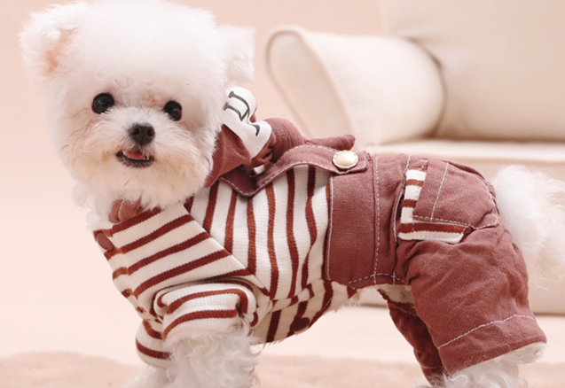 HUNTER宠物衣服怎么样 HUNTER宠物衣服怎么样