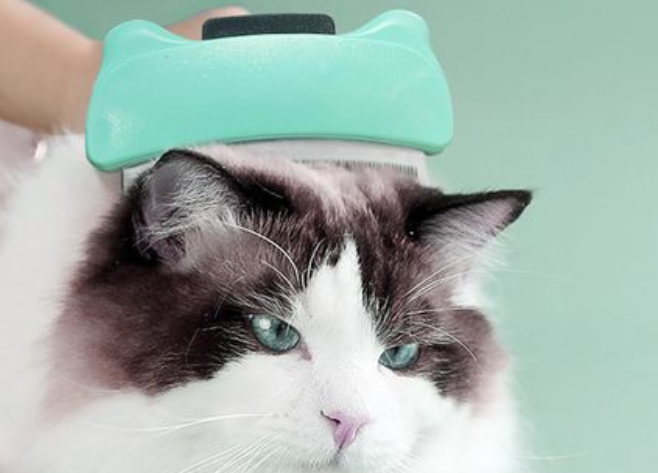 贝思奈猫梳子，轻松梳毛刷去浮毛