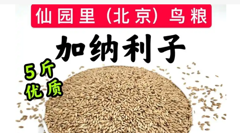 仙园里鸟粮只有北京有吗