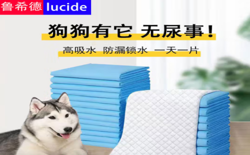 鲁希德