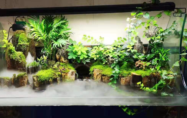 Barbarous Growth生态鱼缸真的不用换水吗