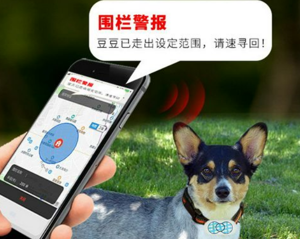 养狗防丢指南：聚宝源狗狗定位器