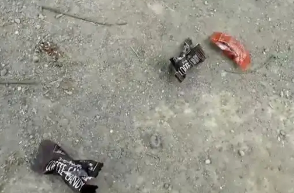 台湾老伯喂狗吃巧克力,狗主暴怒报警 台湾老伯喂狗吃巧克力,狗主暴怒报警