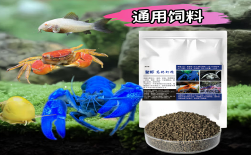 噢水噢