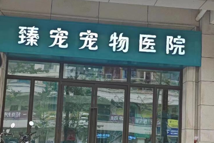 臻的动物动物医院：24小时服务，为宠物健康保驾护航