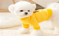 CHU XING JIA宠物衣服有必要买吗