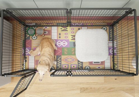 猫橘狗宠物用品，生活<strong></strong>为宠物生活添彩