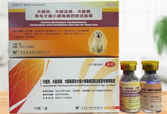 中牧宠物疫苗在哪里打 中牧宠物疫苗在哪里打