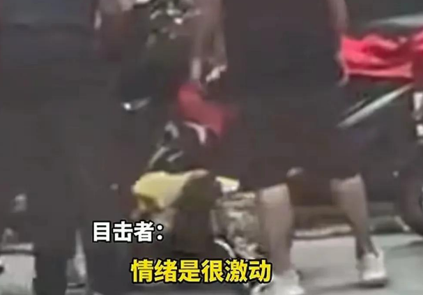 “谁能想到？”一条没拴绳的宠物狗，竟引发一场血腥冲突！
