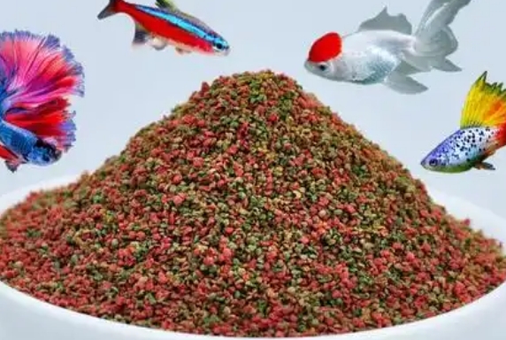AIPHAROW孔雀鱼饲料可以喂金鱼吗 AIPHAROW孔雀鱼饲料可以喂金鱼吗