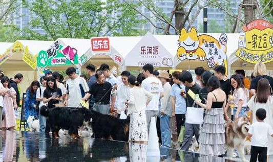 “宠友集”杭州市首届在地宠物生活节盛大开启 “宠友集”杭州市首届在地宠物生活节盛大开启