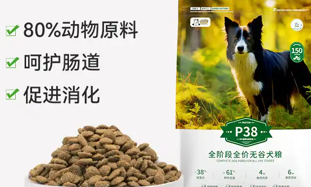 宠物本色:精准契合宠物需求的产品设计 宠物本色:精准契合宠物需求的产品设计