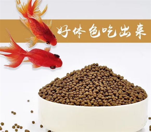 宠以沫金鱼饲料：点亮金鱼健康活力之光