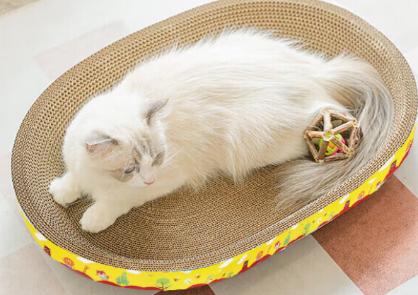 珍佑宠猫抓板，猫咪释放猫咪天性