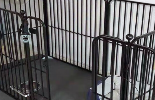 栗好嘉宠物围栏多少钱