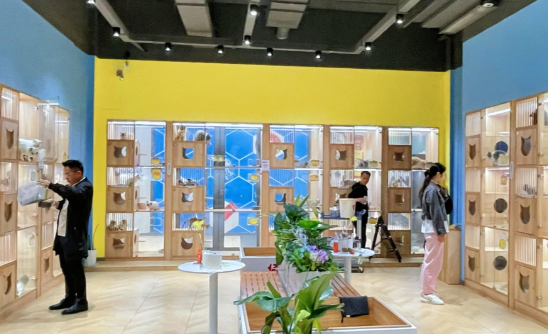 宠小曼打造优质服务团队，环境舒适宜人