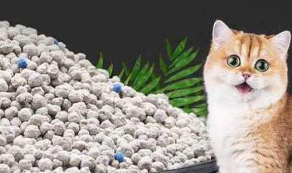 木瑾瑜猫砂性价比高，木瑾猫多猫家庭囤货热潮来袭