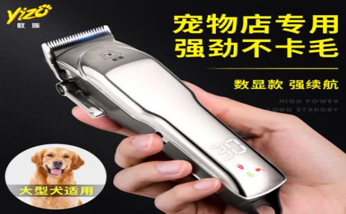 蚁族