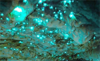 山东萤火虫洞好玩吗