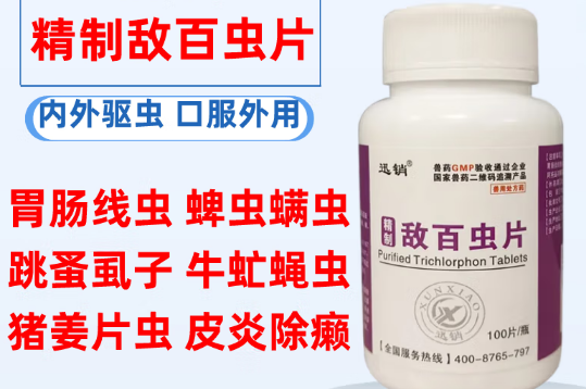 迅销是什么品牌
