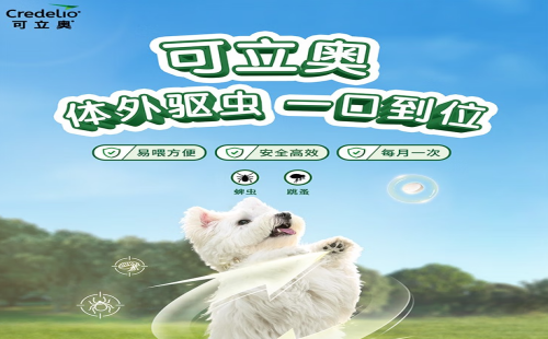 可立奥