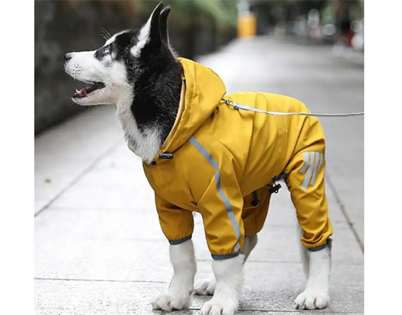 CHU XING JIA宠物雨衣有必要买吗 CHU XING JIA宠物雨衣有必要买吗