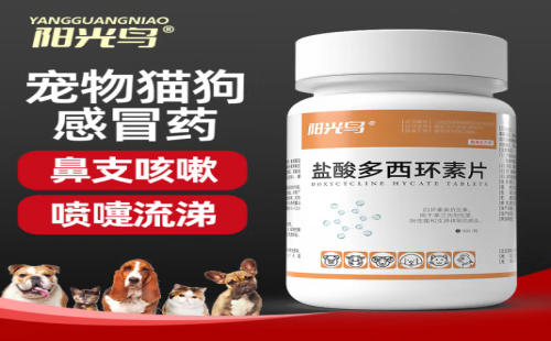 阳光鸟