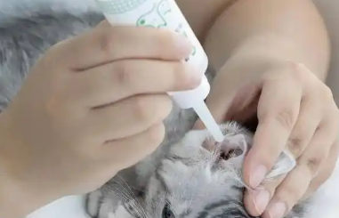 喵想滴耳液怎么样