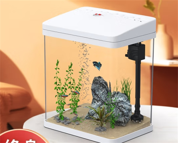 共度创意桌面鱼缸，迷你小型造景家用水族箱