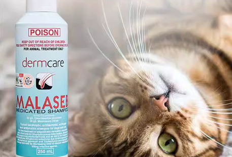 德姆克洗耳液的作用和功效 德姆克洗耳液的作用和功效