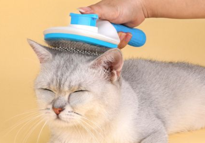 贝思奈猫梳子，奈猫轻松梳毛刷去浮毛