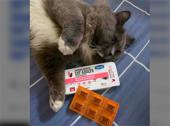 美施美康驱虫药：猫咪驱虫新选择