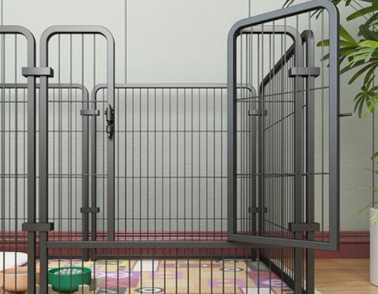 猫橘狗宠物用品，为宠物生活添彩