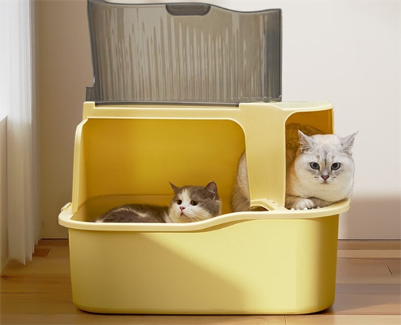 玩尾猫砂盆多久清理一次