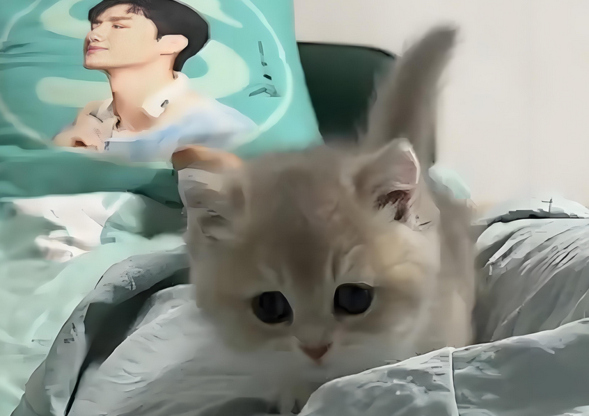 猫伸舌头大喘气像哮喘一样怎么办