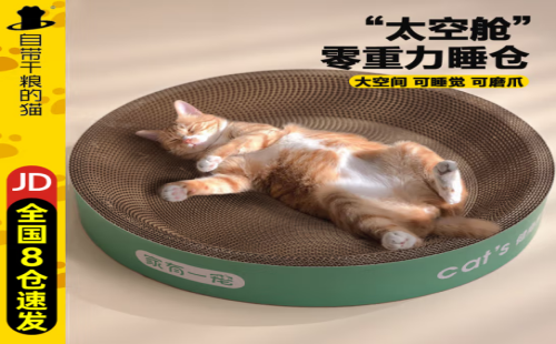 自带干粮的猫