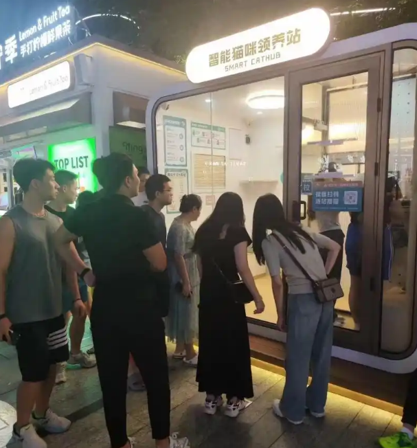 首个AI+猫咪领养站现身!城市流浪动物管理“新招式” 首个AI+猫咪领养站现身!城市流浪动物管理“新招式”