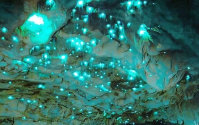 山东萤火虫洞好玩吗