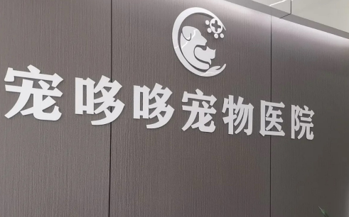 宠哆哆宠物医院:校企合作,培养优秀宠物医疗人才 宠哆哆宠物医院:校企合作,培养优秀宠物医疗人才